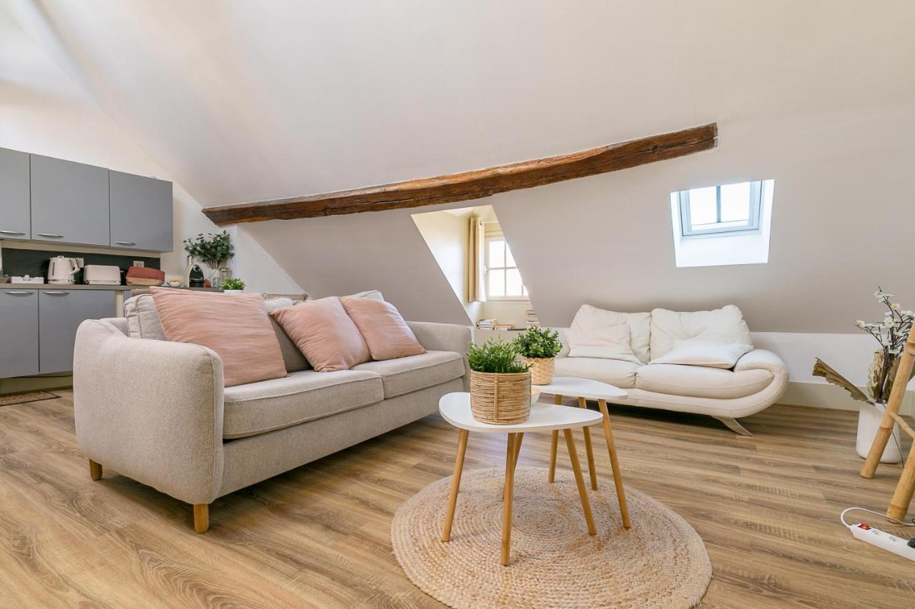 Apartamento Le Dentan, Au Centre Historique De Dijon Exterior foto